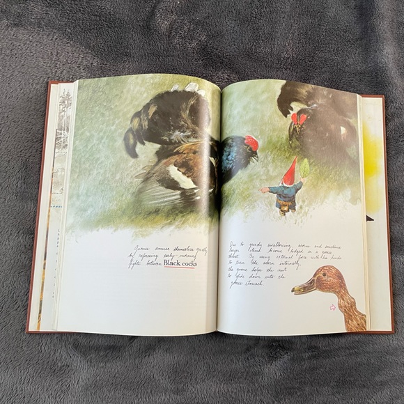 Gnomes 1976 Vintage Children’s Book Rien Huygen - Picture 8 of 15